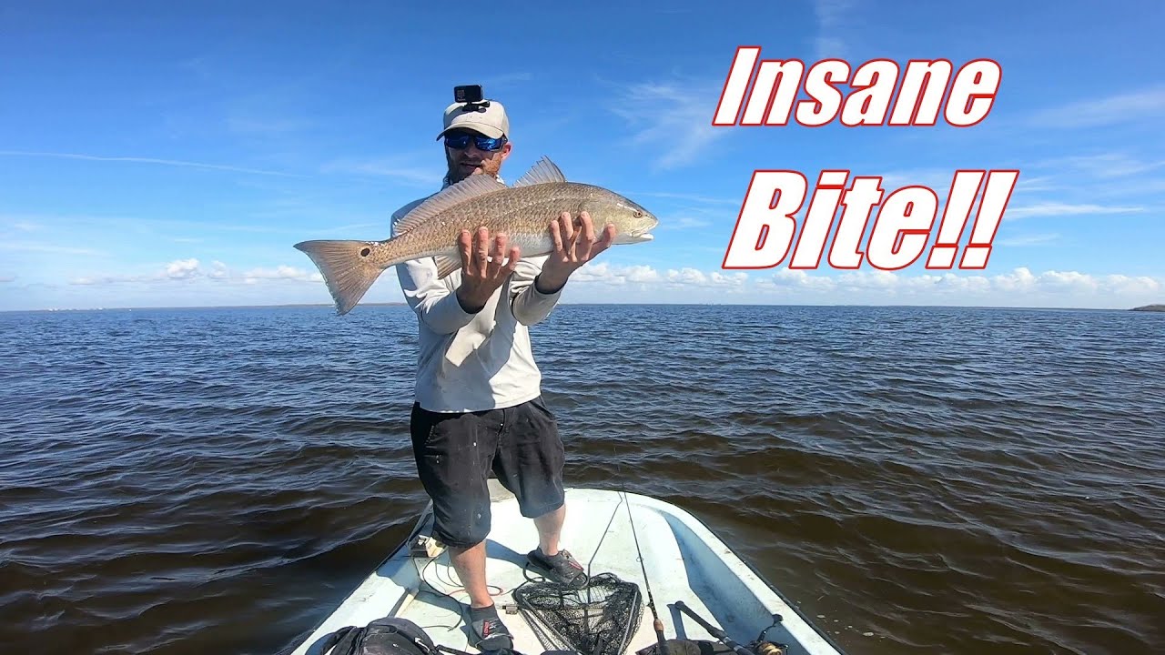 The Fish Are Going Crazy In Sanibel Island! Back To Back Fish All Day Long!