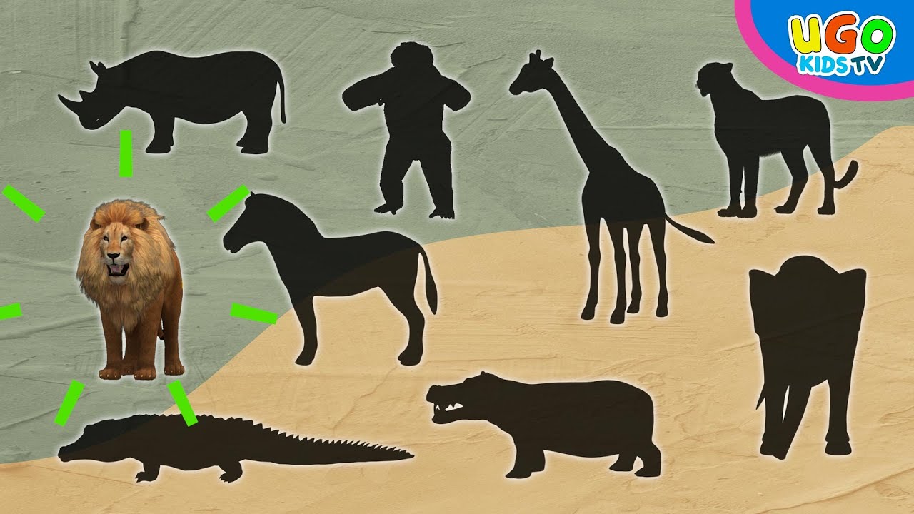 Impara i nomi degli animali selvatici 🦁🐵 | Puzzle sugli animali da safari