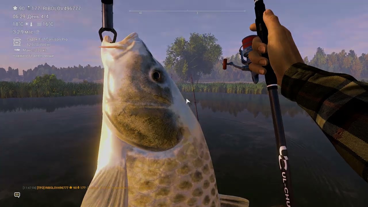 Fishing Planet. Випинг Виллоу, Англия. Карпы, Амур, Сазан. Солнечная погода