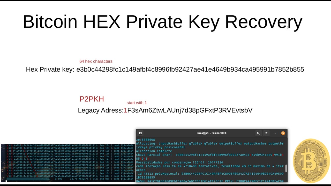 Recovering a Damaged Bitcoin HEX Private Key