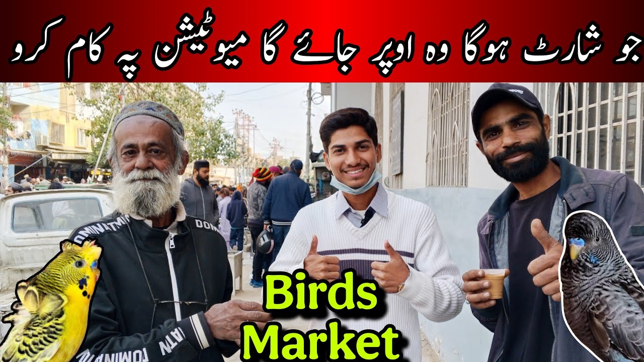 Lalukhet Birds Market 2026 Latest Updates Karachi | 25-1-2026 | Cheapest Rates Birds Market Karachi 