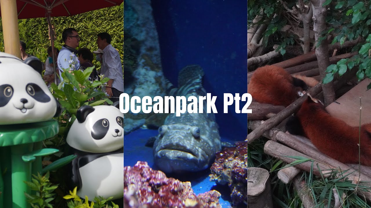 Hongkong diaries #5: Oceanpark pt2