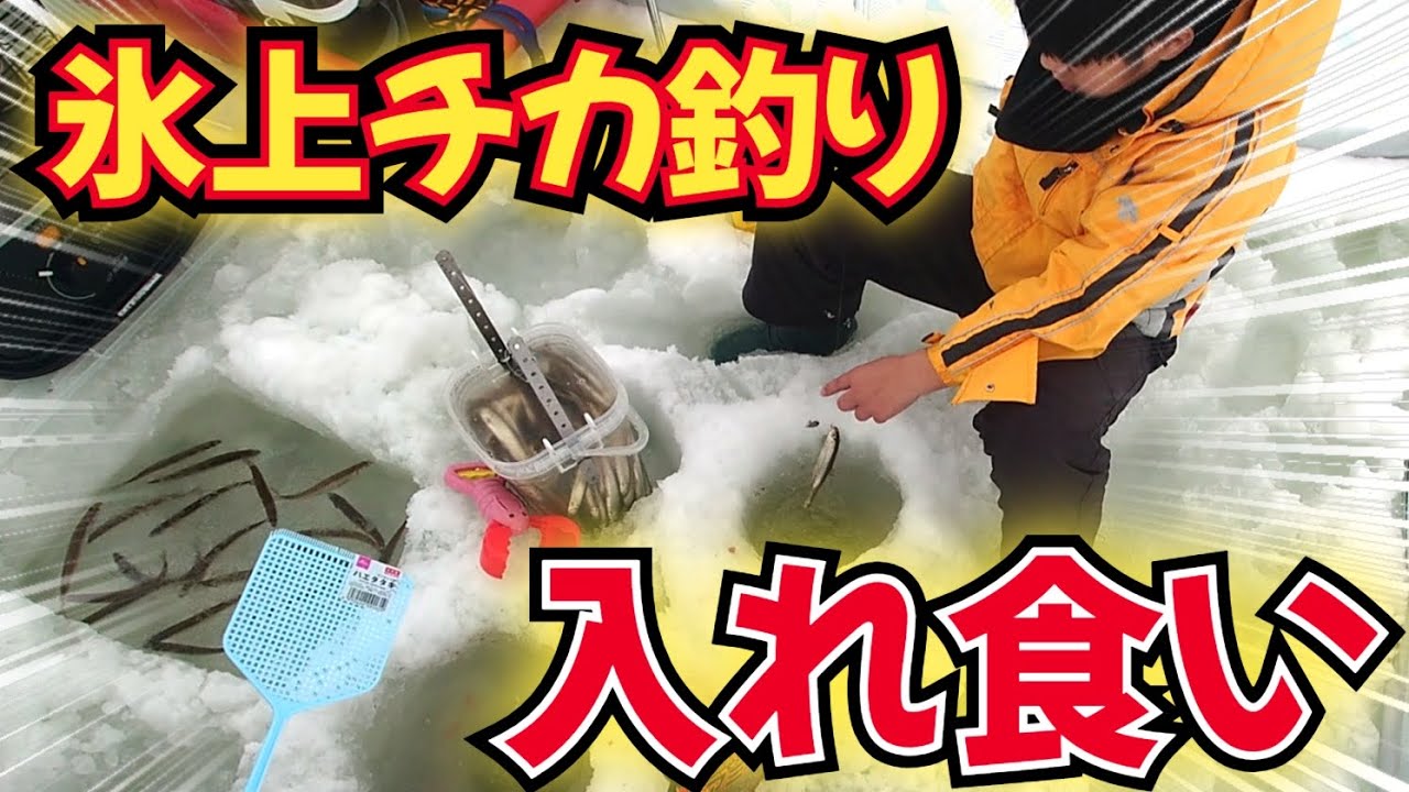 【北海道】【氷上釣り】入れ食い氷上チカ釣り