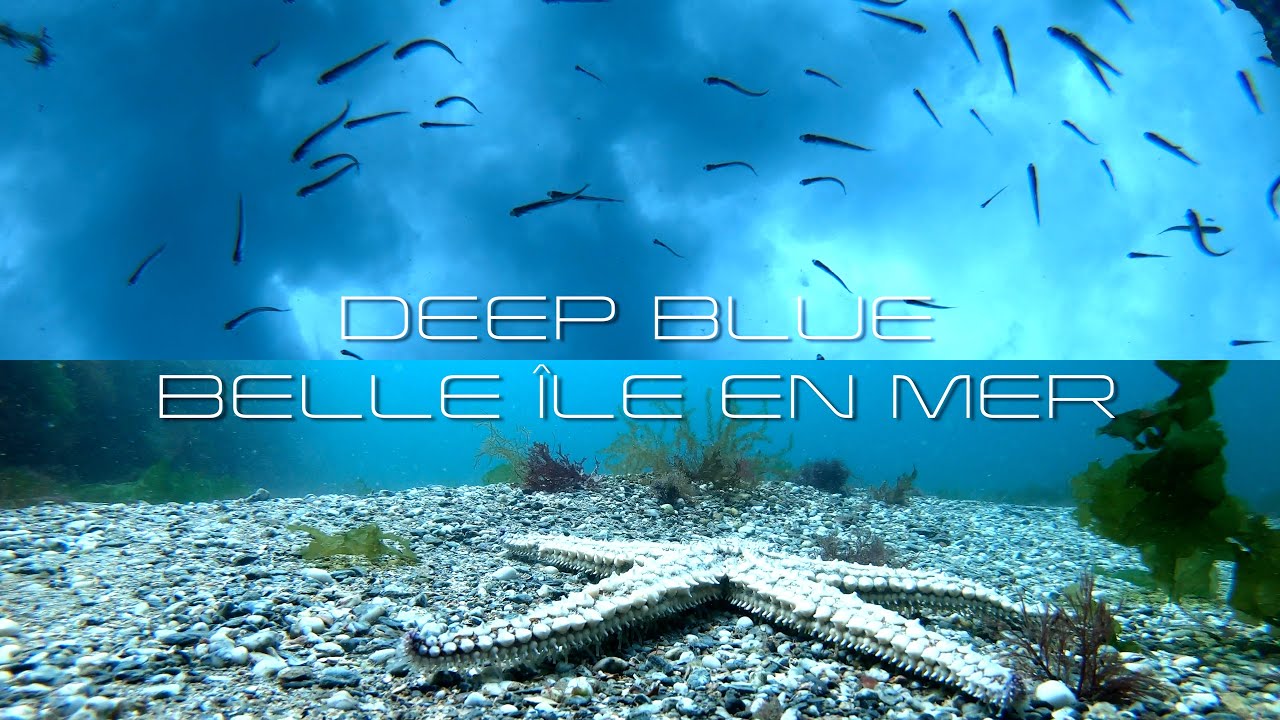 DEEP BLUE BELLE &Icirc;LE EN MER 2023