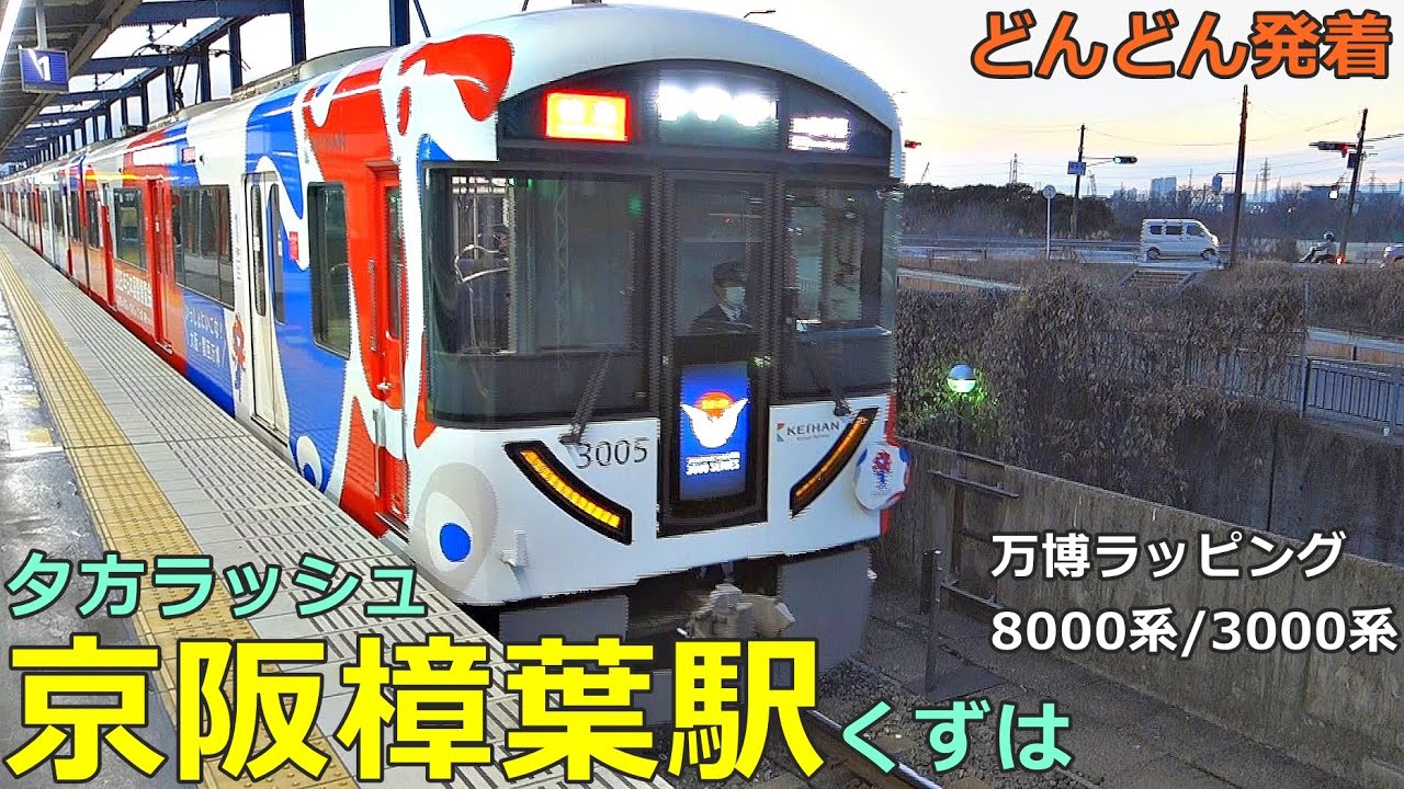 京阪樟葉駅 2🚃どんどん電車が発着！●万博ラッピング、ライナー、特急、快速急行、急行 等／夕方ラッシュ 京阪本線・洛楽通過（くずは駅）
