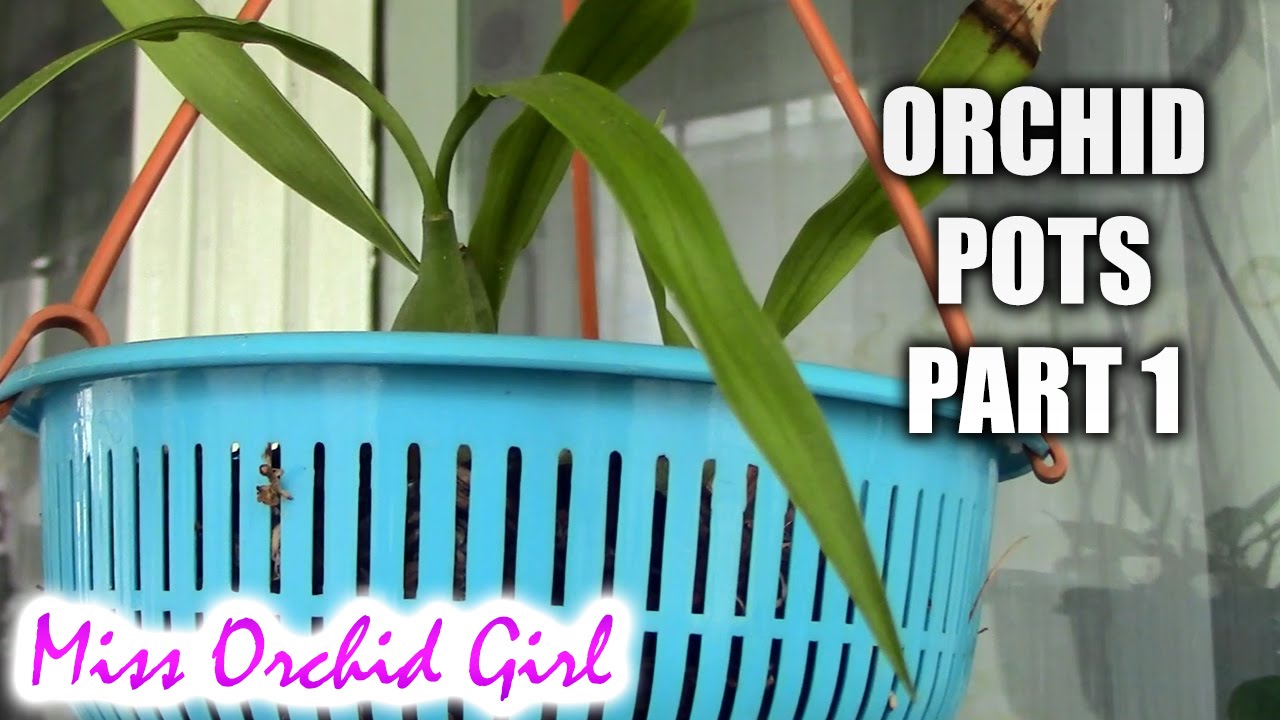 Choosing orchid pots Part 1 - Pots suited for orchids