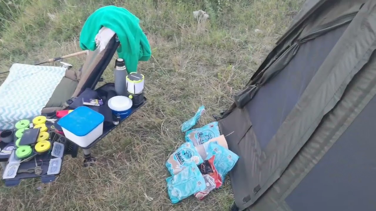 #ibaits, #carasprajit, Atacul ciortanilor pe #balta Albele