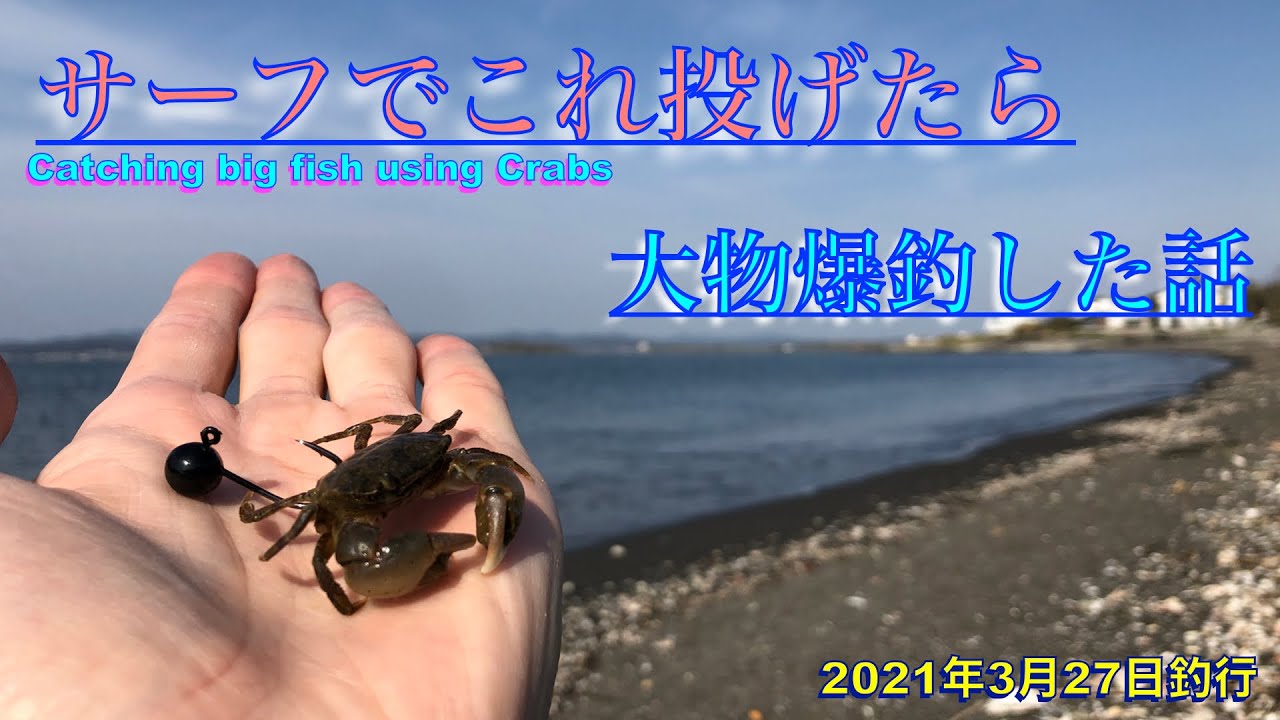美しい砂浜で現地調達したカニを餌に釣りした結果...