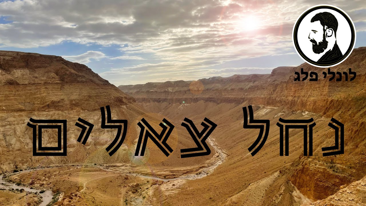 נחל צאלים