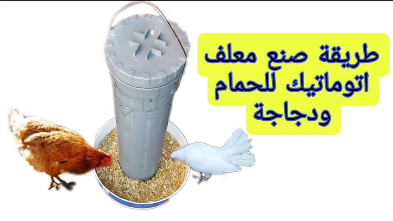 كيف تصنع  ماكلة للطيور اوتوماتيكية