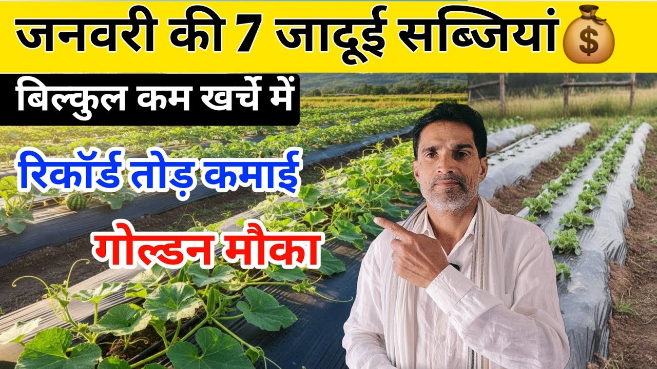 जनवरी की '7 जादुई सब्जियां' 🌱 | कम खर्चे में रिकॉर्ड तोड़ कमाई, मौका चूकना मत 2026! 💰🔥