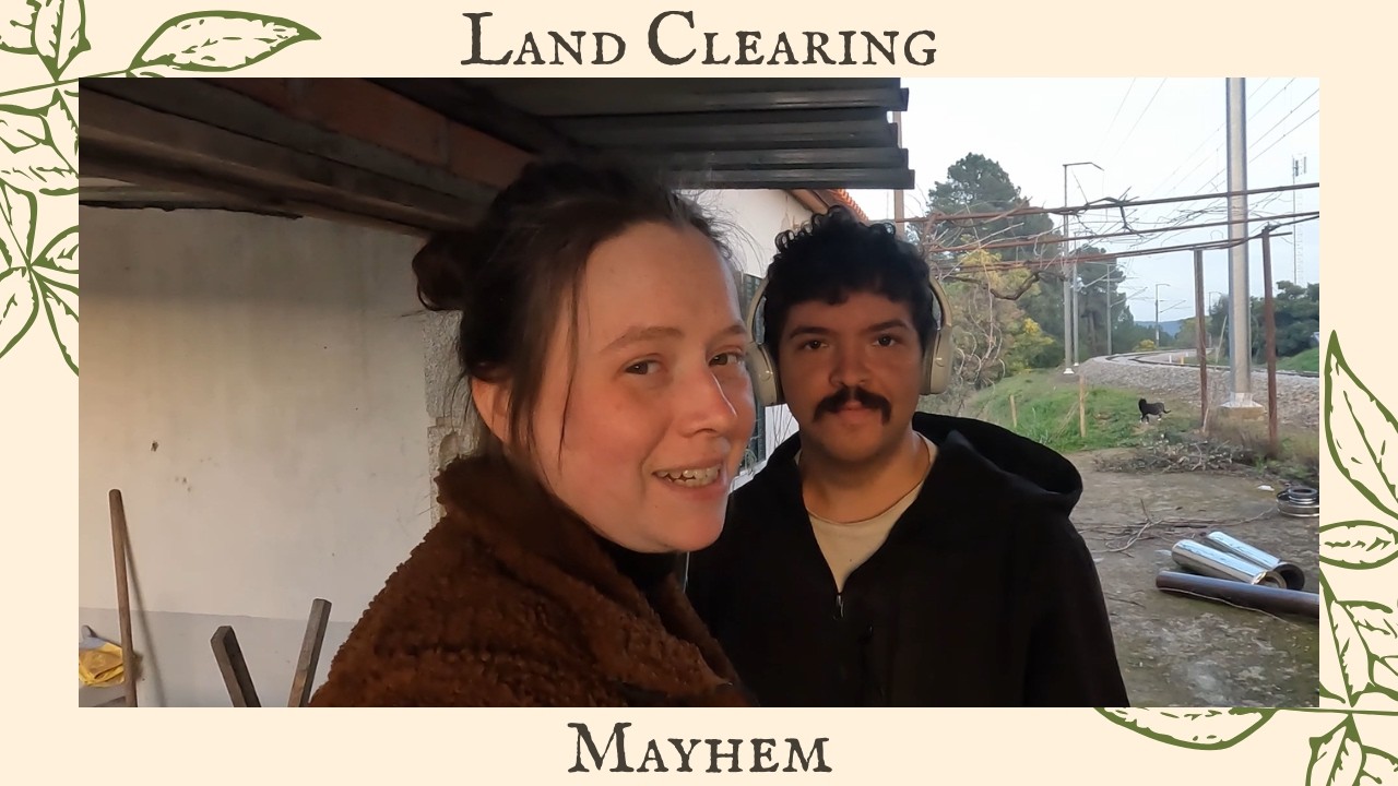 Ancient Water System Discovered!? Improving Land Access in our Portuguese Homestead