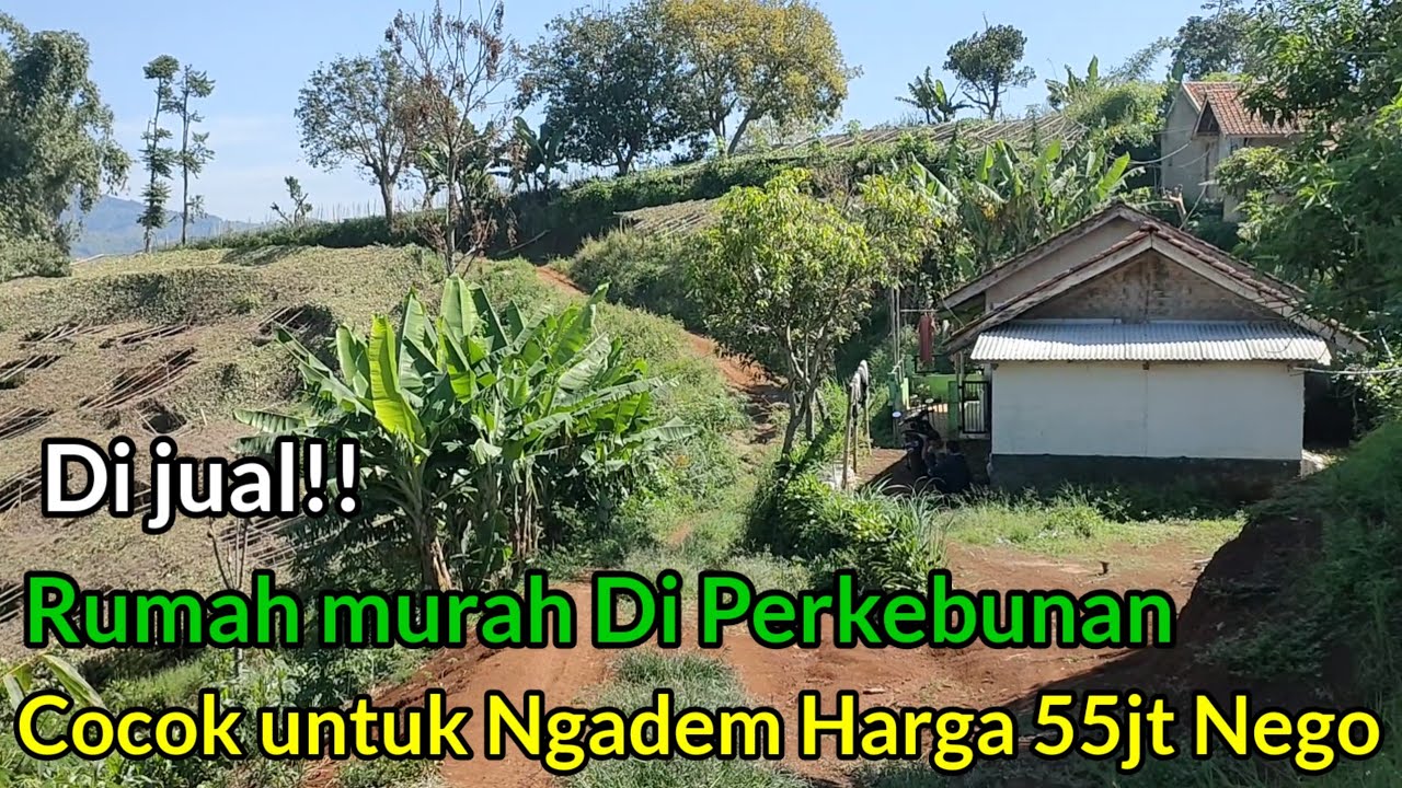 Di jual‼️Rumah Murah Cuma 55jt Nego Udara  sejuk Bikin Betah(Kabupaten Bandung)