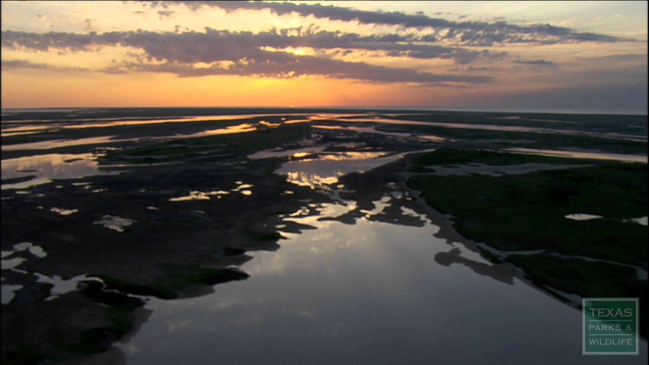 Texas Above & Below: The Coast