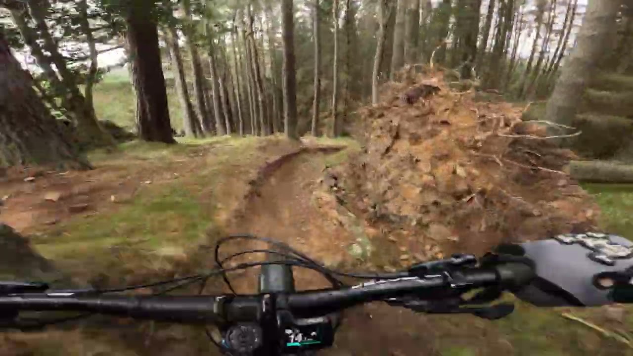 Glentress off-piste