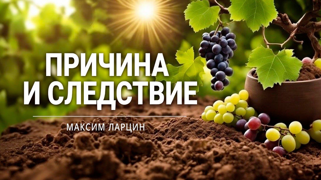 Причина и следствие - проповедует Максим Ларцин