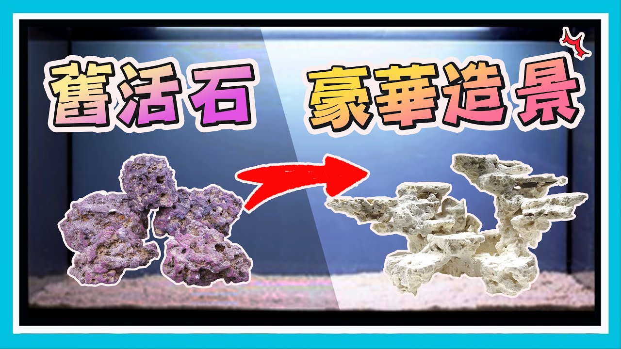 挑戰用舊活石打造出「豪華」造景！【阿宅 X Dane's Aquarium】