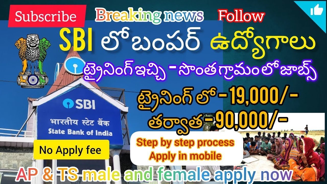 SBI లో బంపర్ ఉద్యోగాలు/Youth for India 2025/SBI Bank jobs 2025/free jobs search/telugu jobs#govtjobs