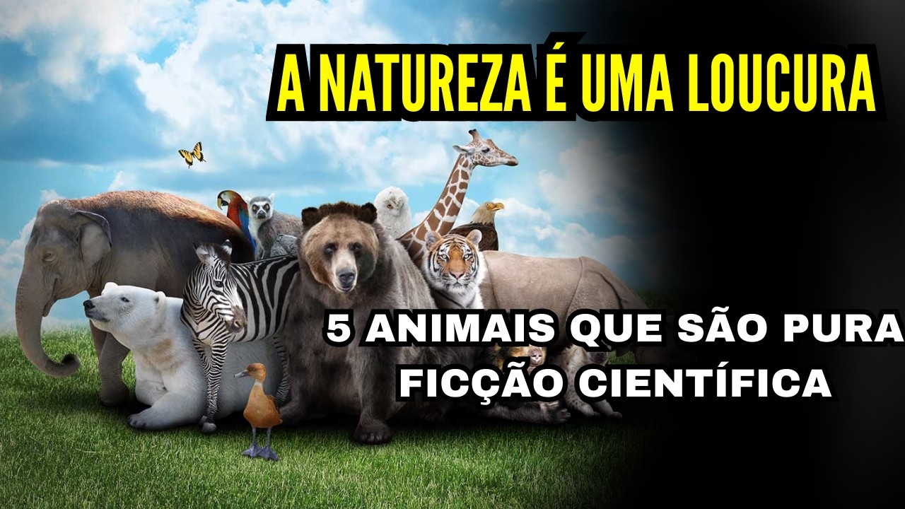 Top 5 dos Animais Mais Estranhos do Planeta