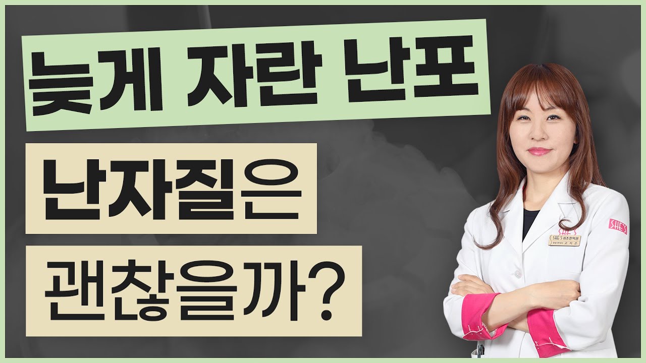 난포성장 속도보다 중요한 것은 무엇? 시험관 난자채취 사전준비