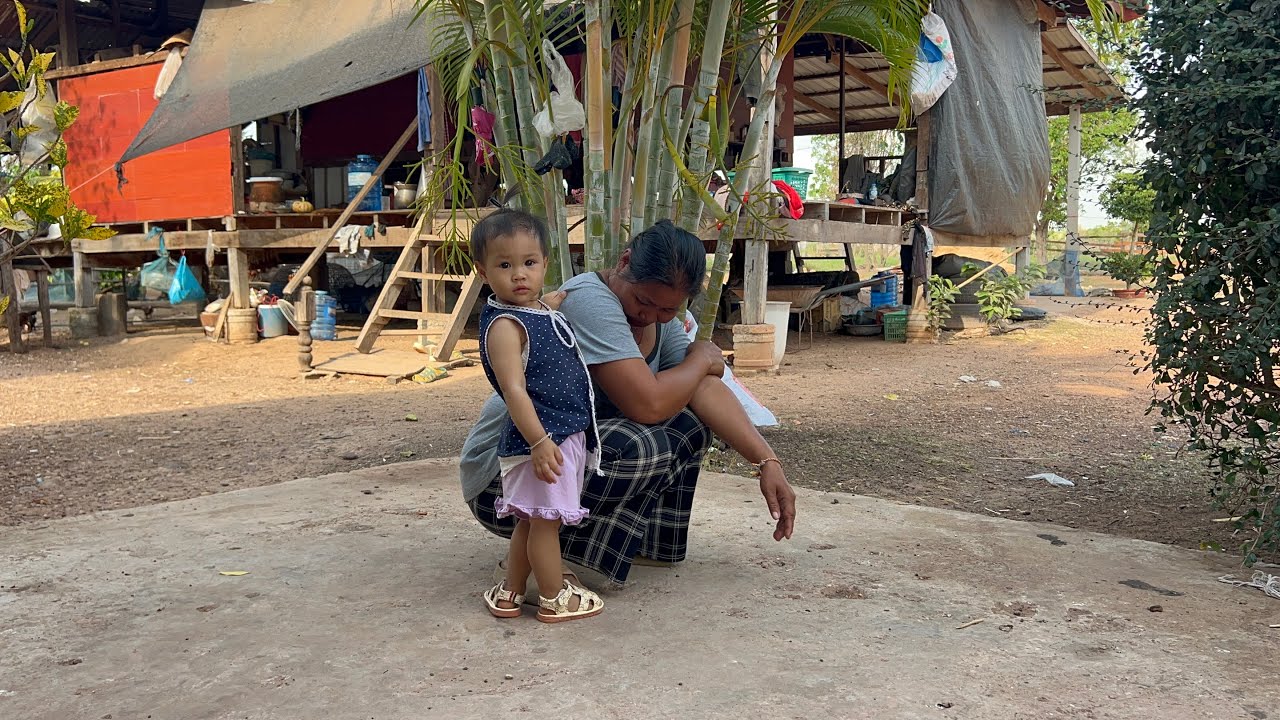 บ้านนาวันนีเงียบเหงา อยู่กับอลิสตัวป่วน 