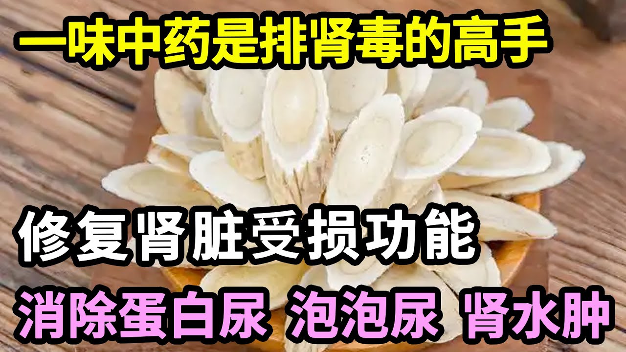 肾衰可以逆转，一味中药是排肾毒的高手，消除蛋白尿、泡泡尿，修复肾脏受损功能，每个老年人都应该知道【本草养生大智慧】