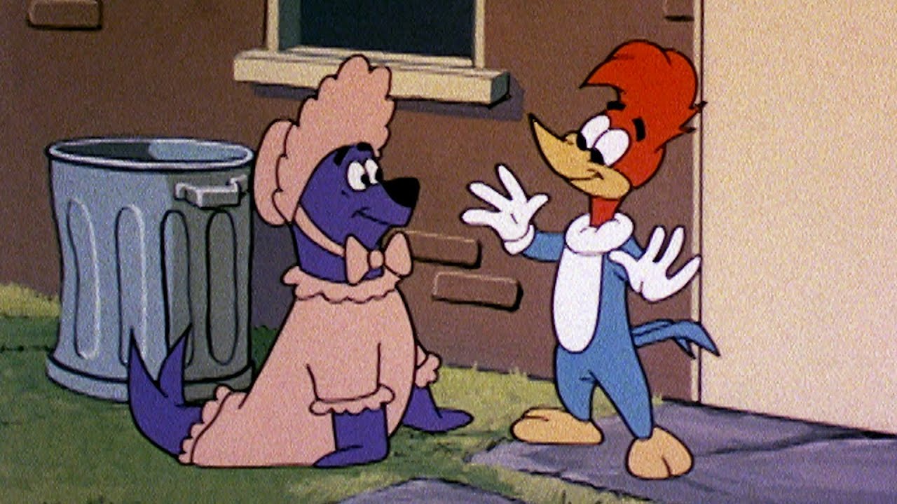 ¡No se permiten focas! | 2.5 Horas de Episodios Clásicos | El Pájaro Loco