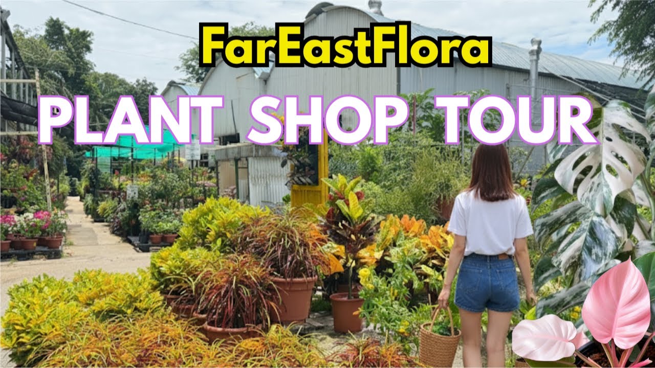 🌴 A Visit to the Large Plant Shop | A Plant Shop Journey | Plant Garden Shop Tour
