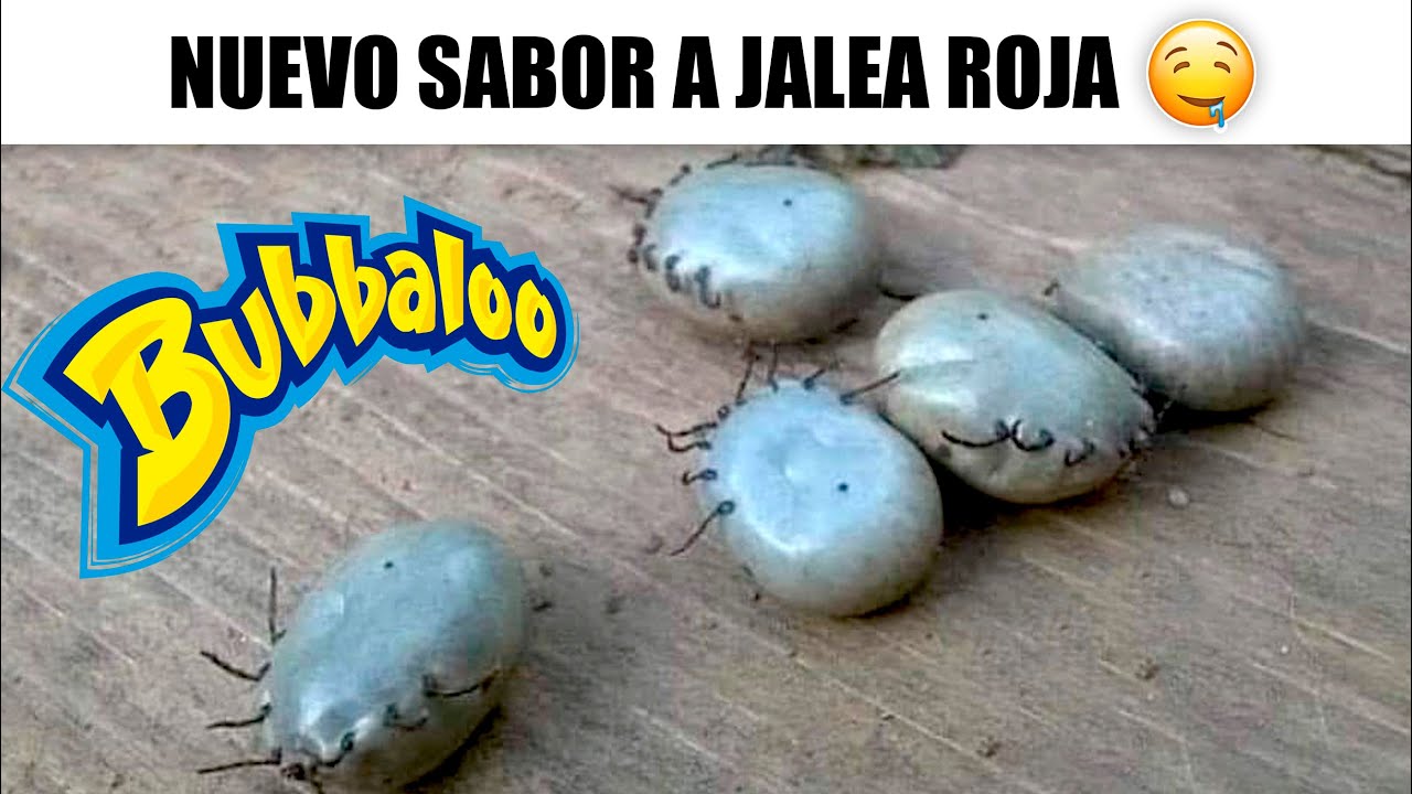 MEMES RANDOM #565