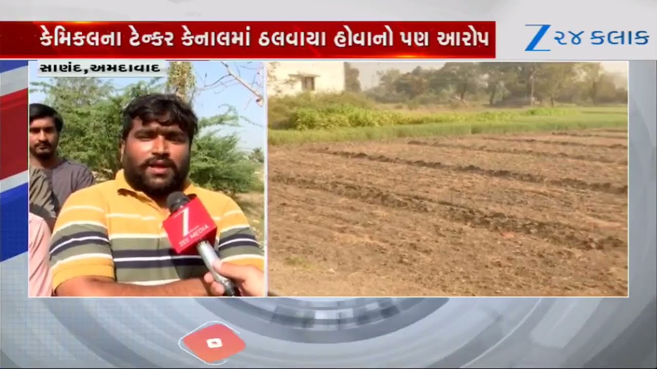 Ahmedabad: સાણંદની કેનાલમાં કેમિકલયુક્ત પાણી ઠલાવતા ખેડૂતોના હાલ બેહાલ, 10 ગામના પાકને વ્યાપક નુકસાન