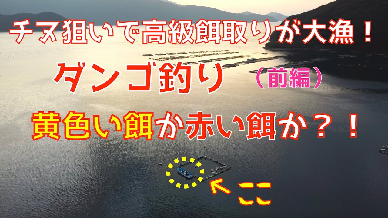 【ダンゴ釣り】6回目のチヌダンゴ釣り、初の県外遠征は高級餌取りでパンパンだ！