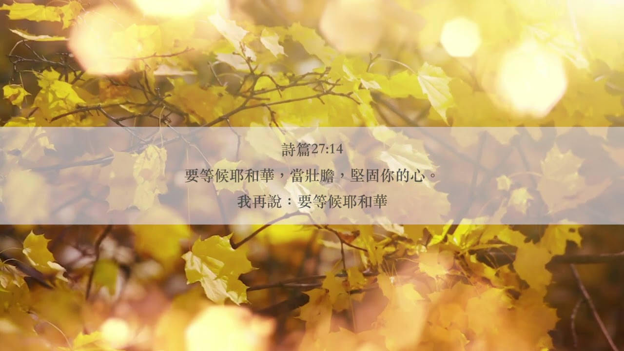 等候神音樂 Wait Upon God Soaking Music 2021 Episode 1