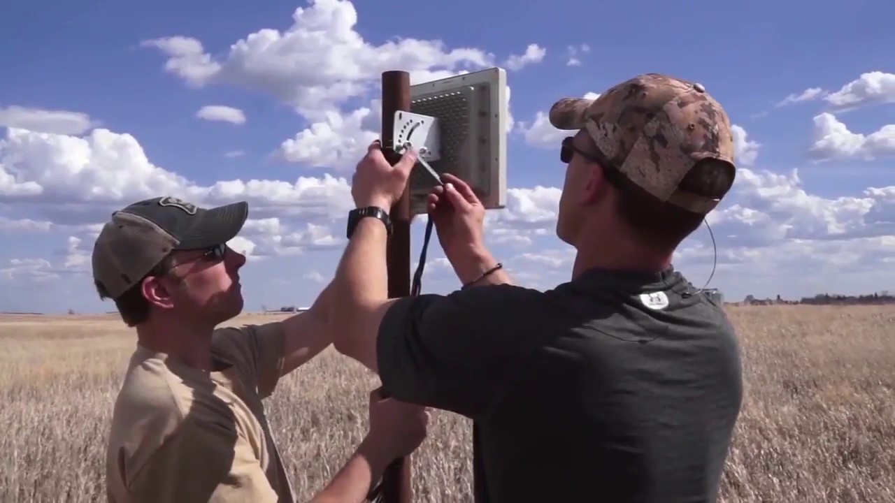 Delta Waterfowl Duck Cam