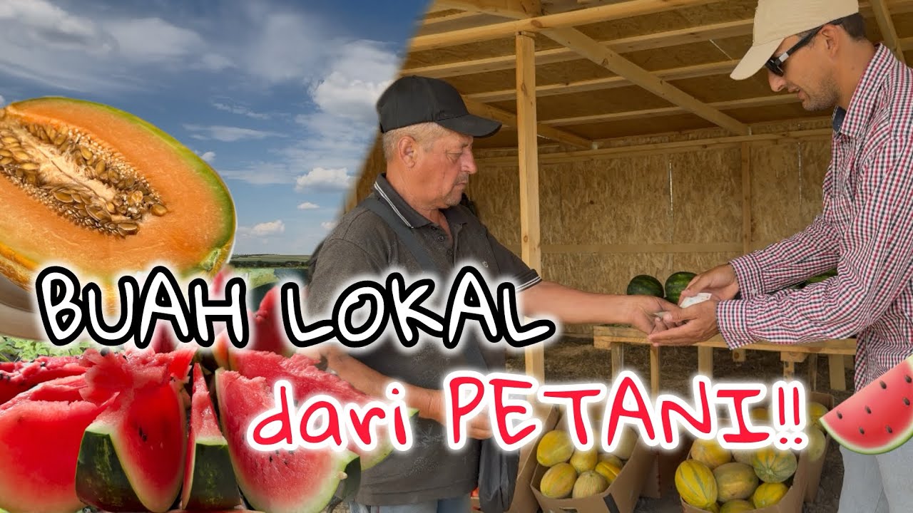 Langsung dari Kebun! Beli Semangka & Melon di Desa Moldova