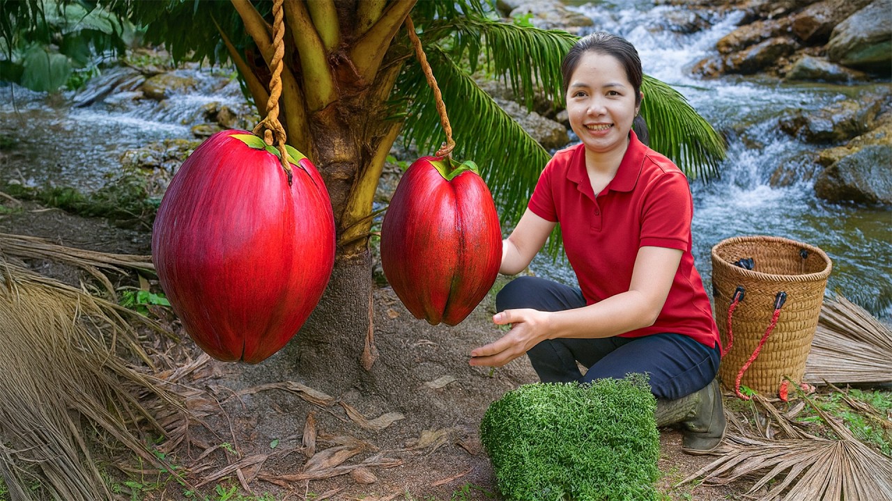 Harvesting 1000+ Rare Red Coconuts by the Stream — To Sell At Market!