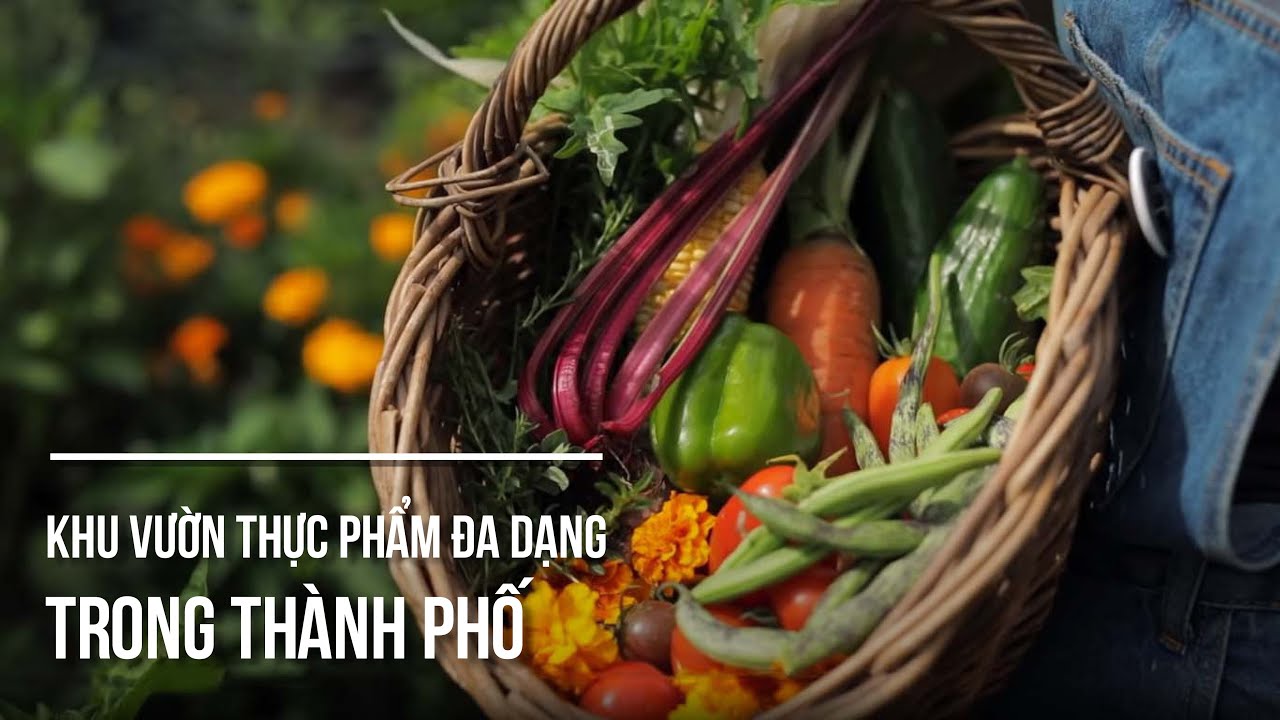 Cô Gái Thiết Lập Một Khu Vườn Nông Nghiệp Vĩnh Cửu Với Diện Tích 100m2 Trong Thành Phố