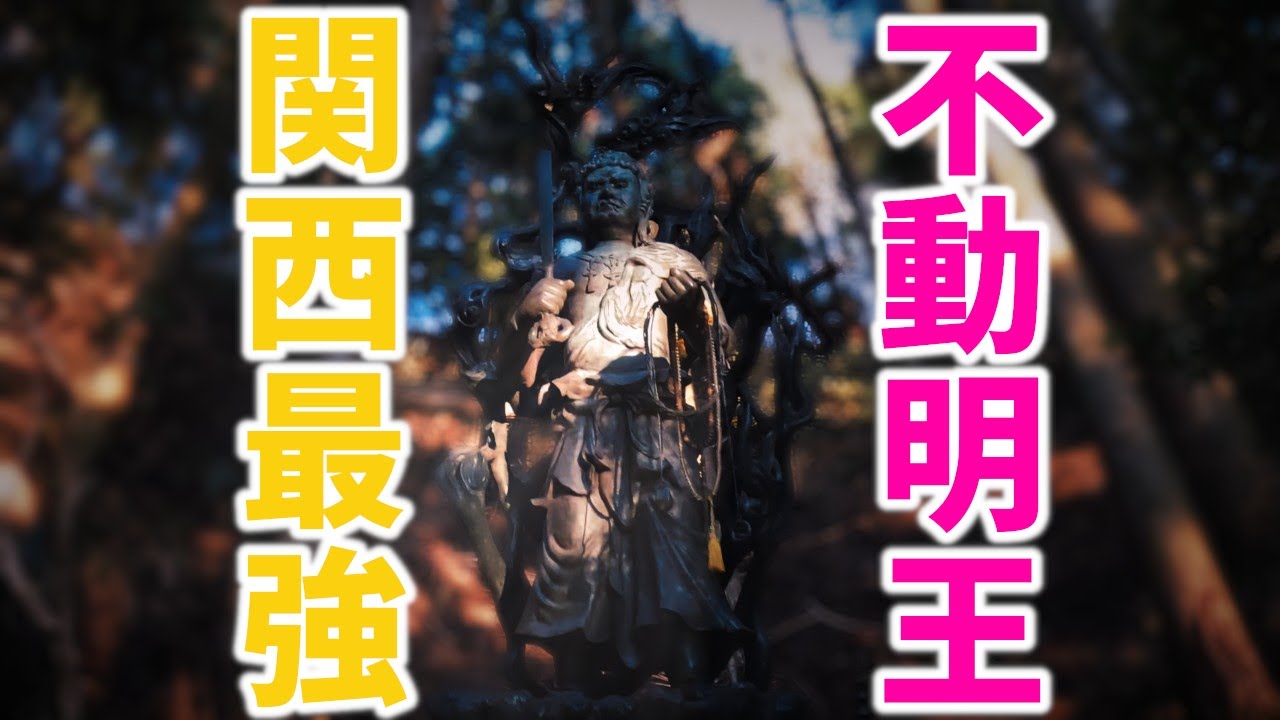 ⚠️最強の力を持つ関西のお不動様※閼伽井不動明王があなたの災いを焼き尽くします｜厄除けの遠隔参拝373