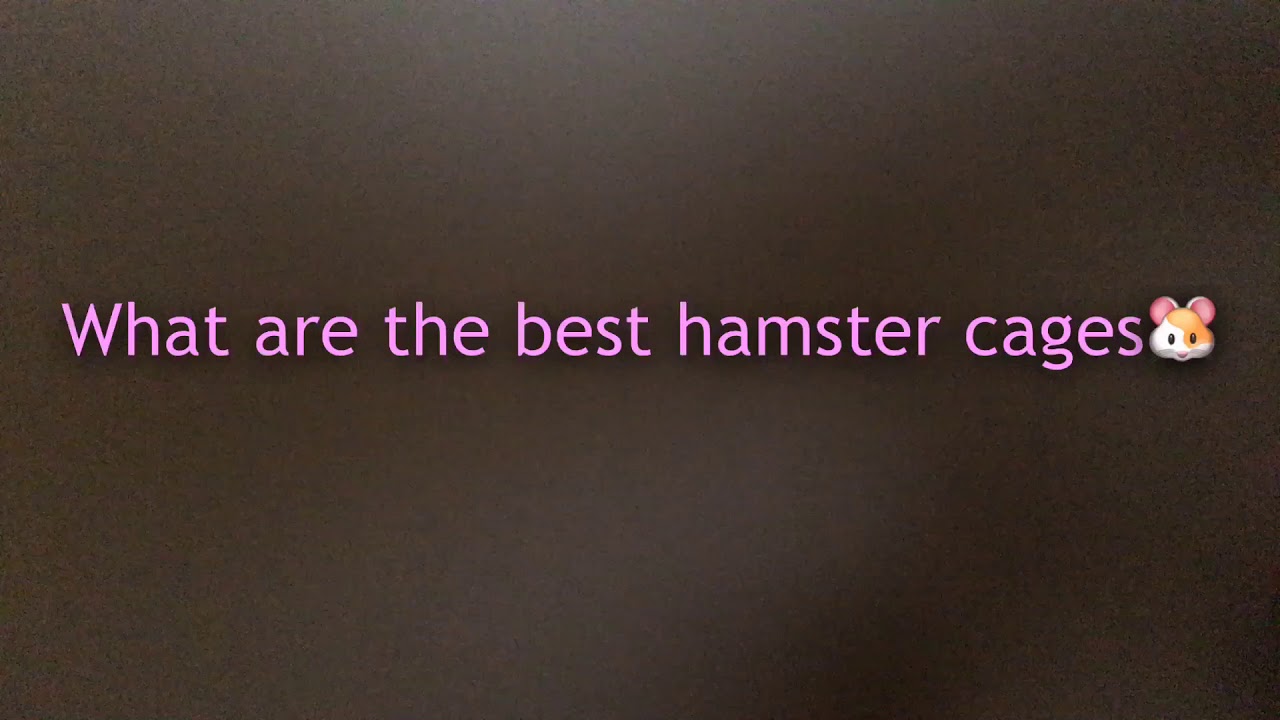What are the best hamster cages 🐹 #hamstercare #hamster #hamstercage