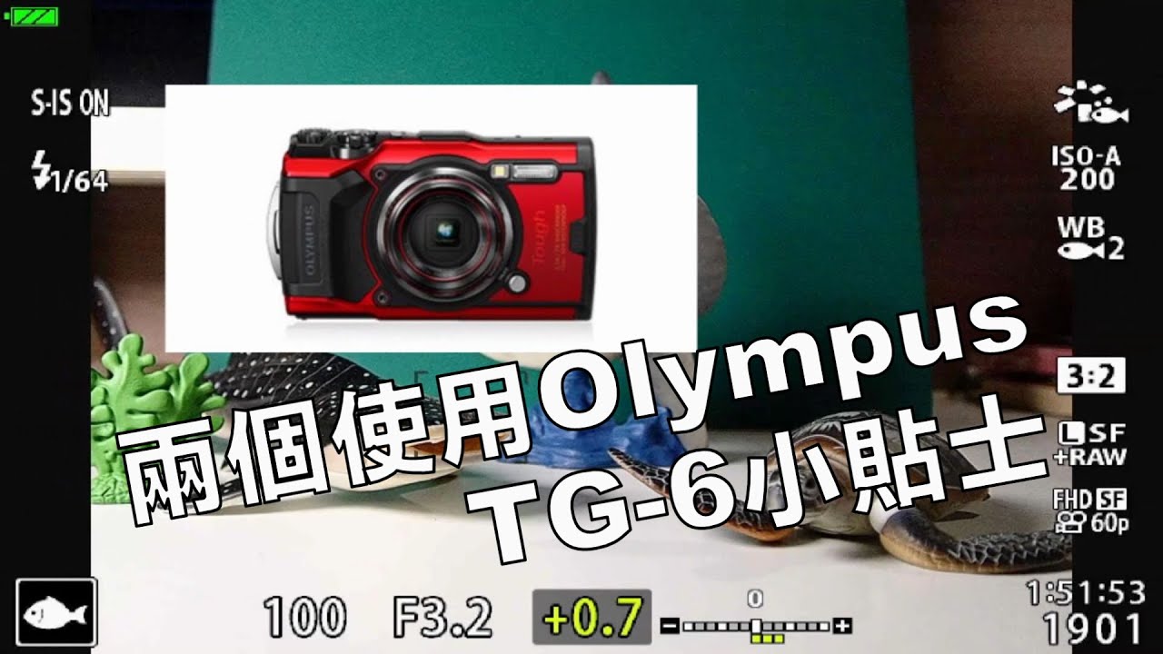 【Kenny爸爸又潛水】兩個使用Olympus TG-6的小貼士，讓你拍出好相片!
