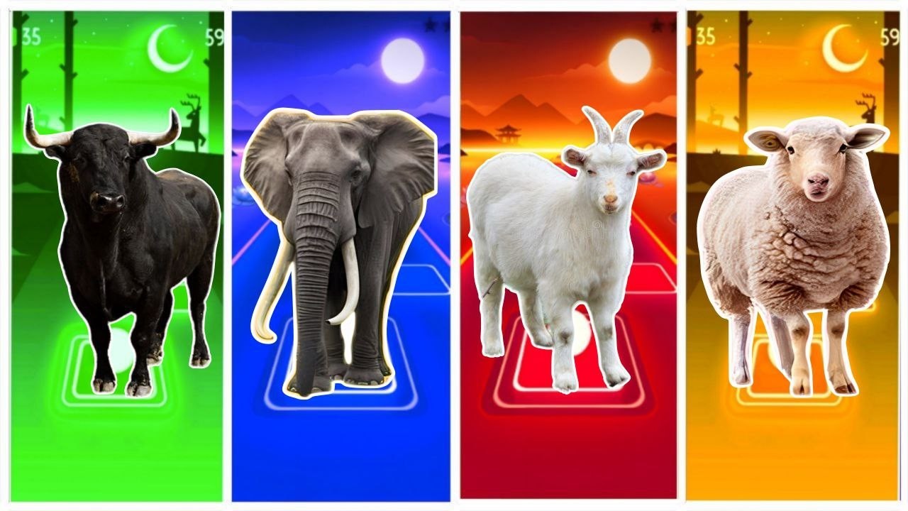 Tiles Animals😘Bull🆚ELEPHANT 🆚Goat  🆚Sheep 🎼Coffin