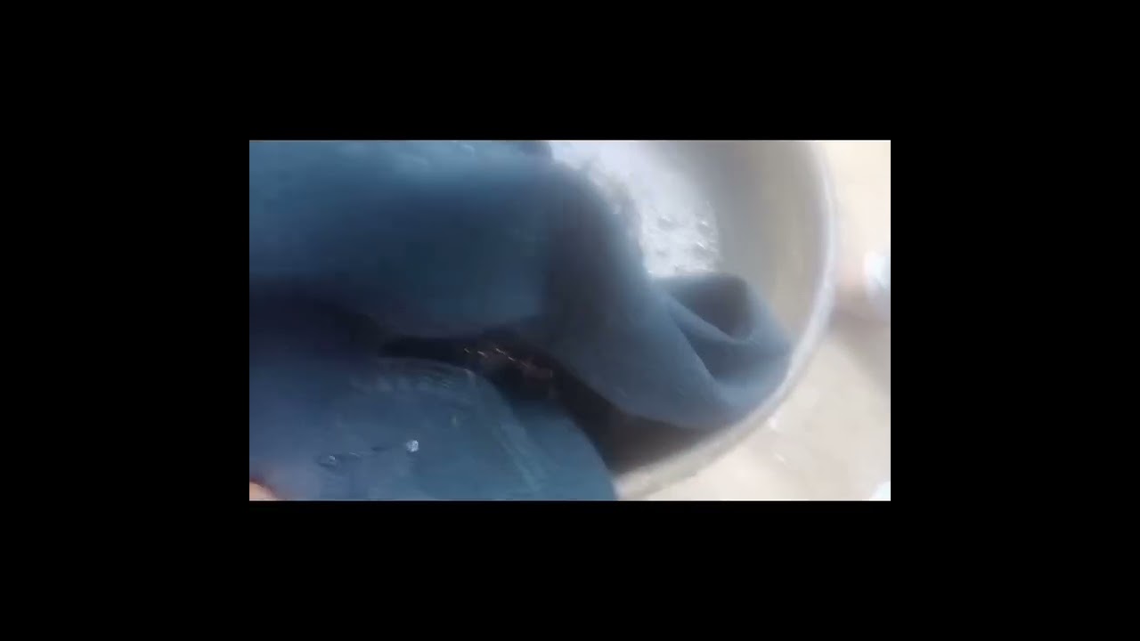 আজকের মর্নিং ব্লগ