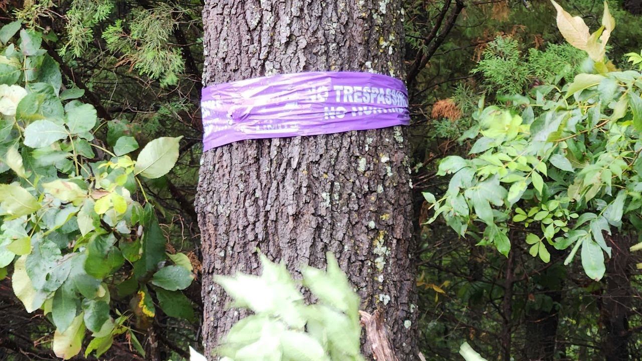 Fact Finders: The value of no trespassing signs