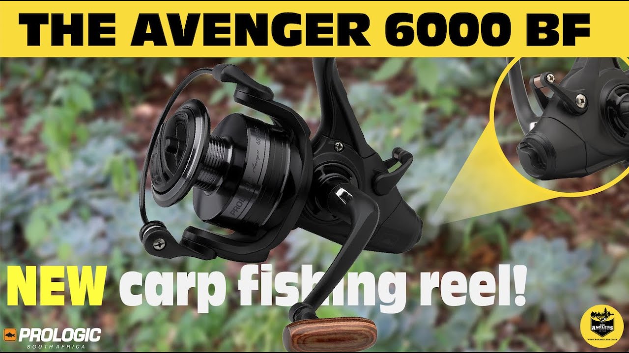 New carp fishing reel! | Avenger 6000 BF | Prologic