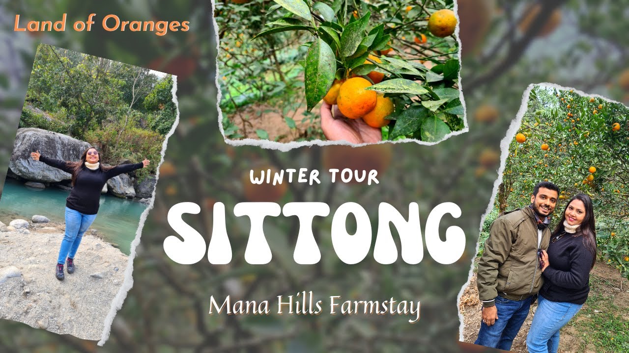 Sittong Tour Plan | Sittong Orange Garden | Weekend trip from Kolkata | Best Homestay in Sittong