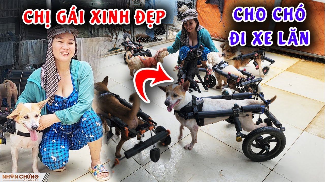 Độc lạ chị g&aacute;i xinh đẹp cho ch&oacute; đi 