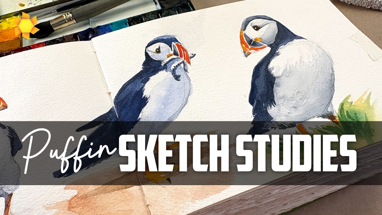 Watercolor sketch studies: cute puffins
