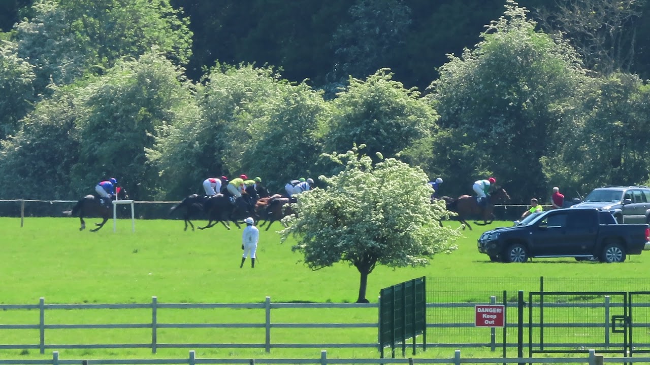 P2P - Grennan 30 May 2021 - R4D1 Hunting Horn at Castlefield Stud 5yo+ Mares Maiden