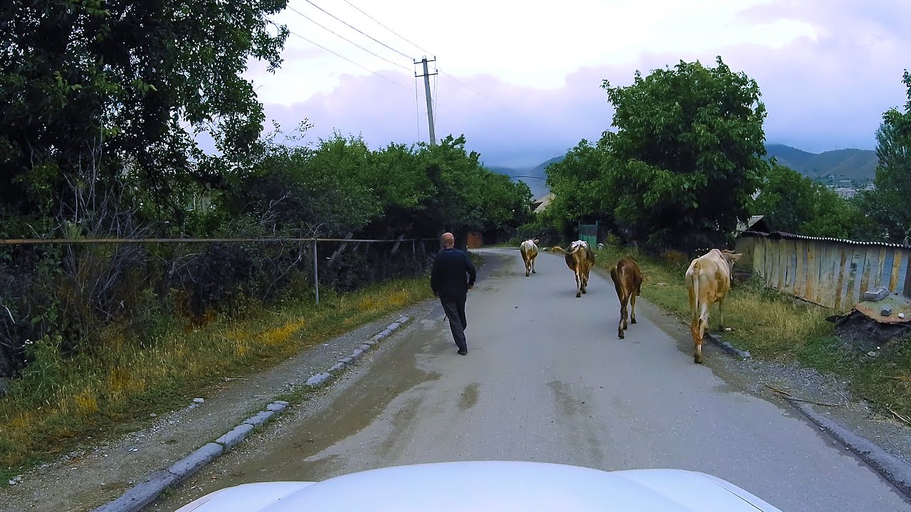 Село Дарпас / Գյուղ Դարպաս / Darpas village