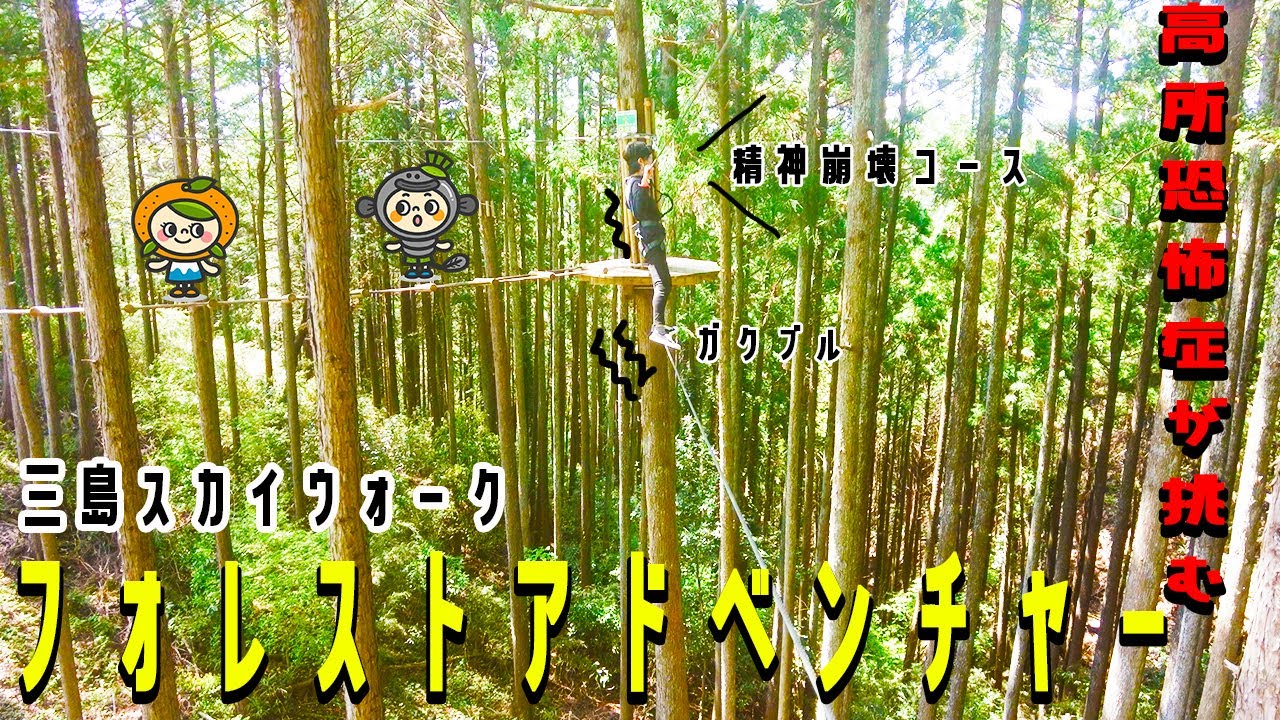 【高所恐怖症が挑むフォレストアドベンチャー】三島スカイウォーク