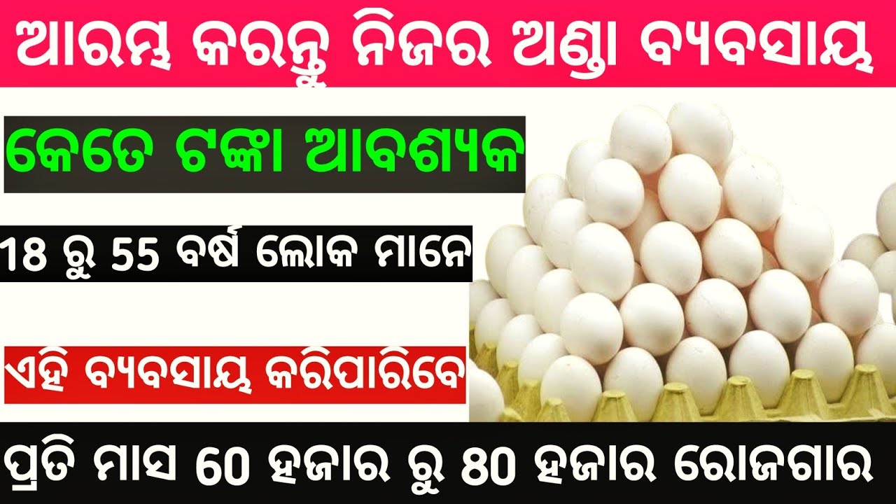 2025 new business idea odisha | odisha business plane | odisha business | business odisha